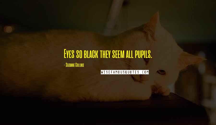 Suzanne Collins Quotes: Eyes so black they seem all pupils.