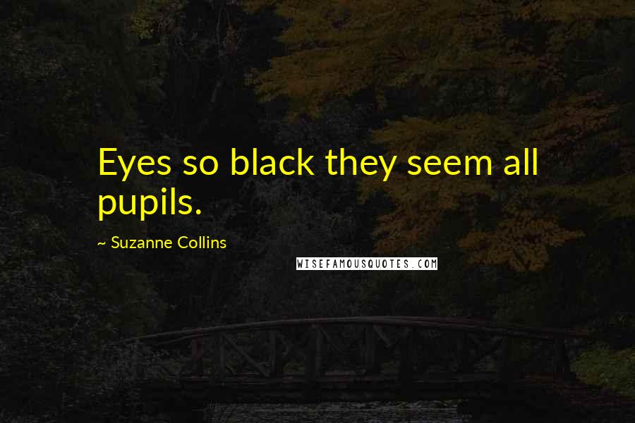 Suzanne Collins Quotes: Eyes so black they seem all pupils.
