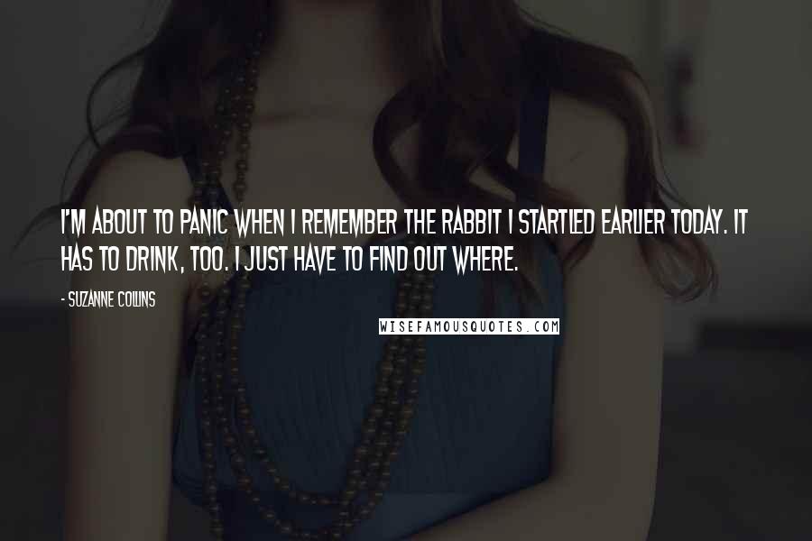 Suzanne Collins Quotes: I'm about to panic when I remember the rabbit I startled earlier today. It has to drink, too. I just have to find out where.