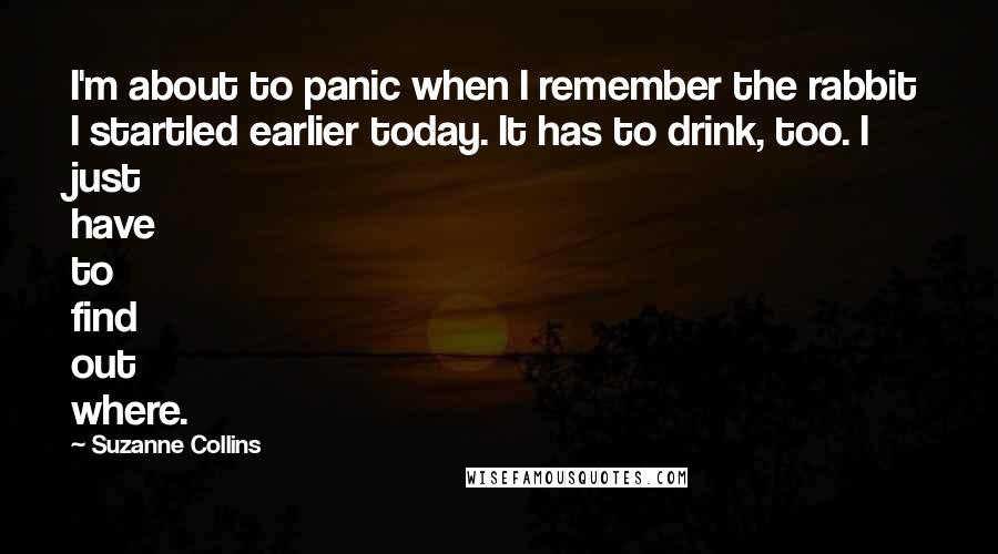 Suzanne Collins Quotes: I'm about to panic when I remember the rabbit I startled earlier today. It has to drink, too. I just have to find out where.