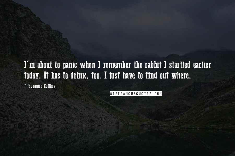 Suzanne Collins Quotes: I'm about to panic when I remember the rabbit I startled earlier today. It has to drink, too. I just have to find out where.