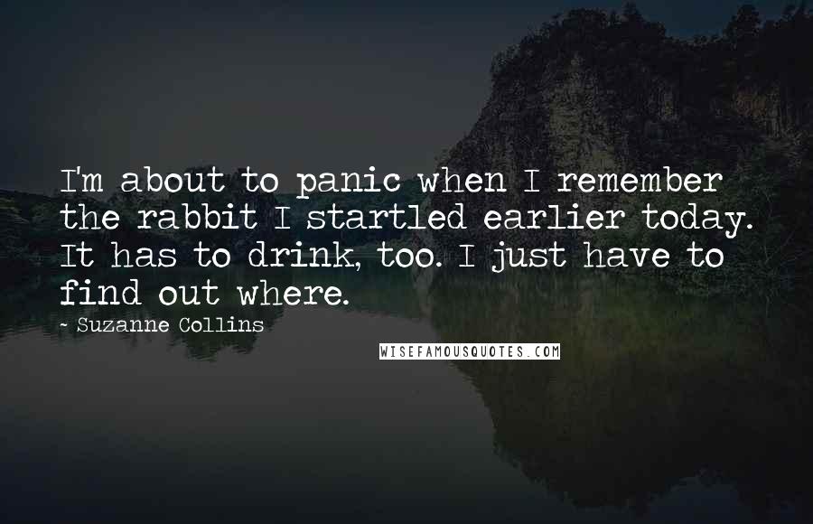 Suzanne Collins Quotes: I'm about to panic when I remember the rabbit I startled earlier today. It has to drink, too. I just have to find out where.
