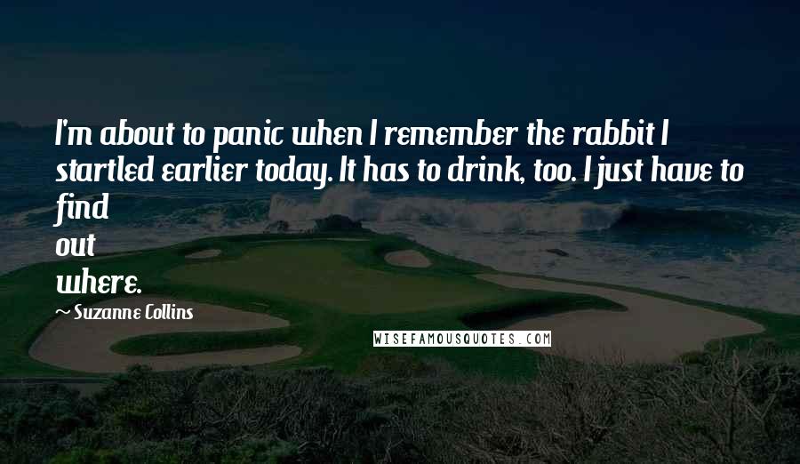 Suzanne Collins Quotes: I'm about to panic when I remember the rabbit I startled earlier today. It has to drink, too. I just have to find out where.