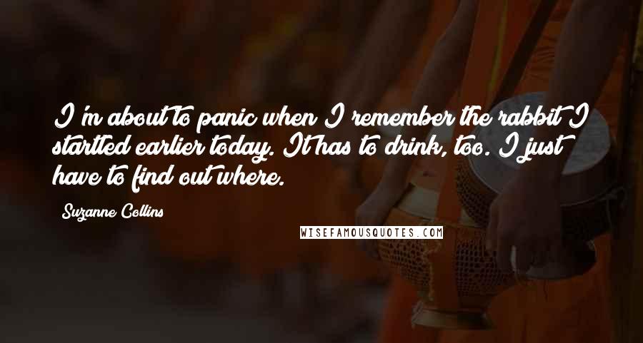 Suzanne Collins Quotes: I'm about to panic when I remember the rabbit I startled earlier today. It has to drink, too. I just have to find out where.