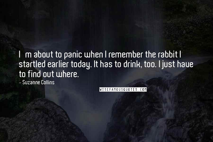 Suzanne Collins Quotes: I'm about to panic when I remember the rabbit I startled earlier today. It has to drink, too. I just have to find out where.