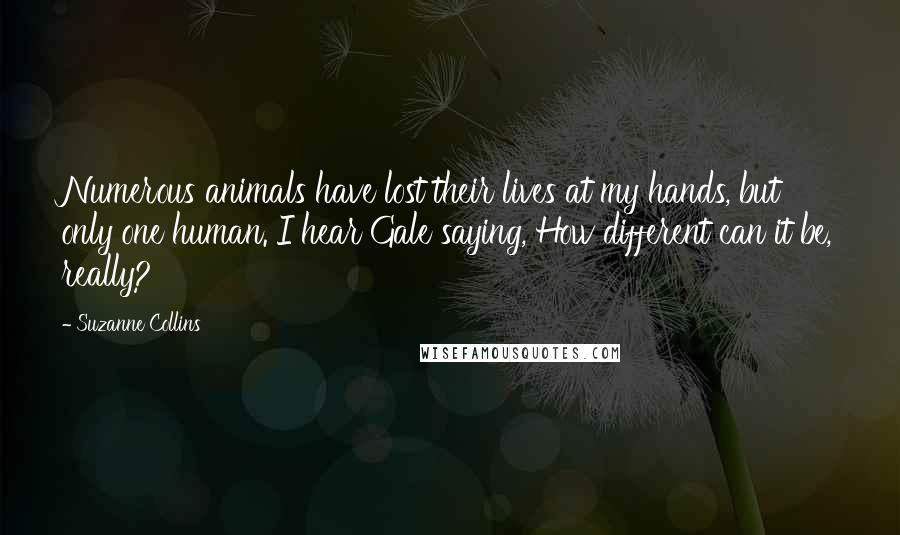 Suzanne Collins Quotes: Numerous animals have lost their lives at my hands, but only one human. I hear Gale saying, How different can it be, really?