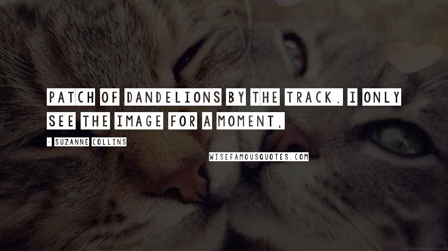 Suzanne Collins Quotes: patch of dandelions by the track. I only see the image for a moment,