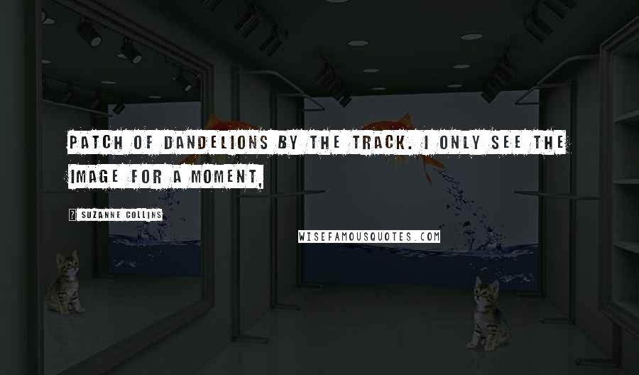 Suzanne Collins Quotes: patch of dandelions by the track. I only see the image for a moment,