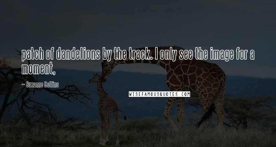 Suzanne Collins Quotes: patch of dandelions by the track. I only see the image for a moment,