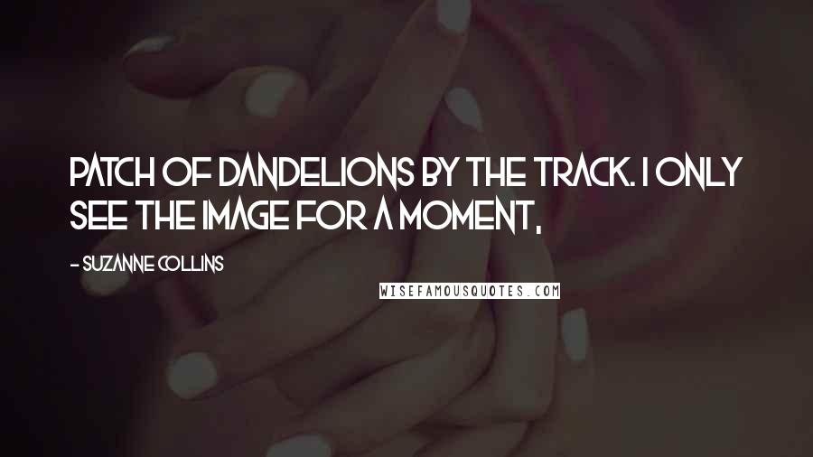 Suzanne Collins Quotes: patch of dandelions by the track. I only see the image for a moment,