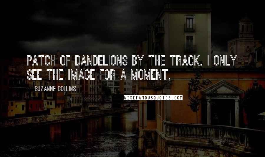 Suzanne Collins Quotes: patch of dandelions by the track. I only see the image for a moment,