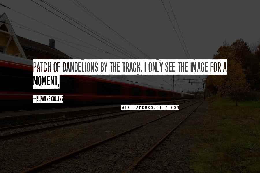 Suzanne Collins Quotes: patch of dandelions by the track. I only see the image for a moment,