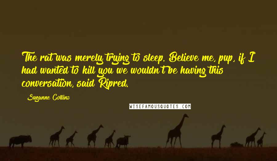 Suzanne Collins Quotes: The rat was merely trying to sleep. Believe me, pup, if I had wanted to kill you we wouldn't be having this conversation, said Ripred.