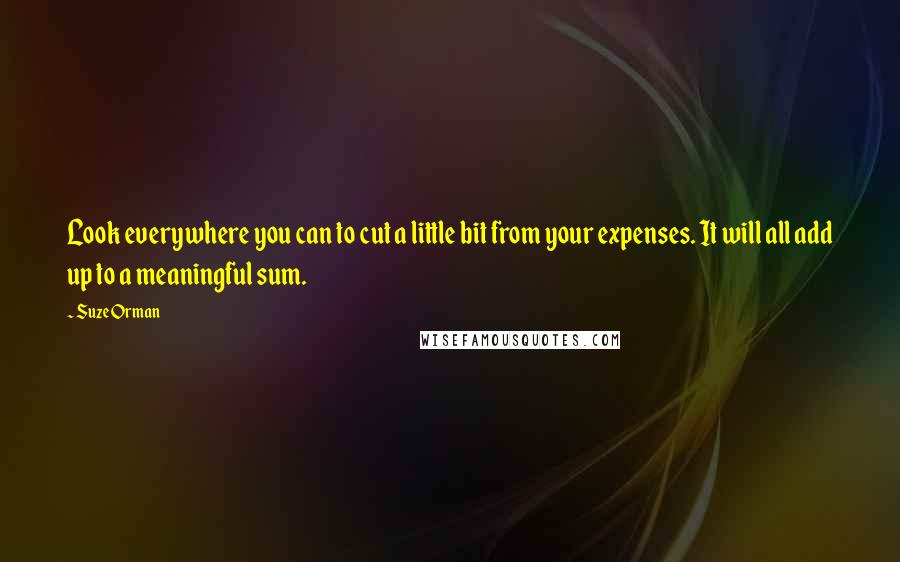 Suze Orman Quotes: Look everywhere you can to cut a little bit from your expenses. It will all add up to a meaningful sum.