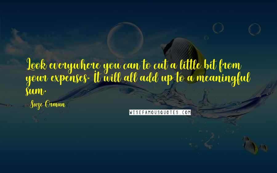 Suze Orman Quotes: Look everywhere you can to cut a little bit from your expenses. It will all add up to a meaningful sum.