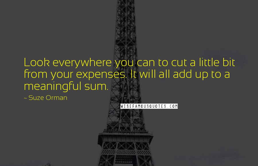 Suze Orman Quotes: Look everywhere you can to cut a little bit from your expenses. It will all add up to a meaningful sum.