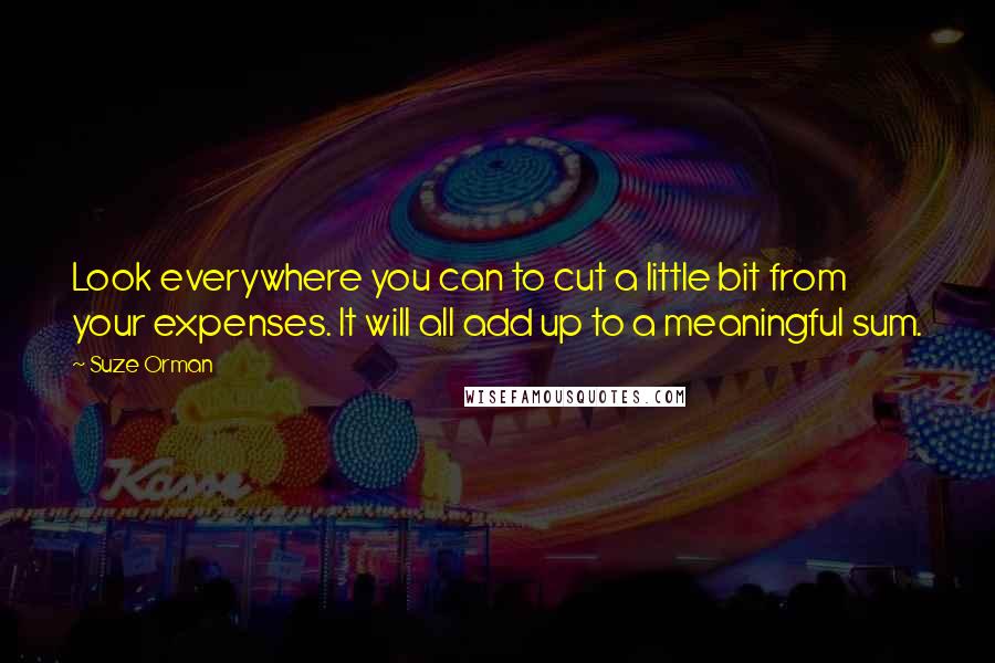 Suze Orman Quotes: Look everywhere you can to cut a little bit from your expenses. It will all add up to a meaningful sum.