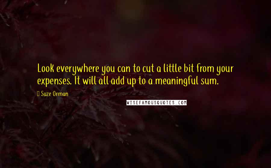 Suze Orman Quotes: Look everywhere you can to cut a little bit from your expenses. It will all add up to a meaningful sum.