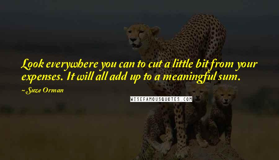 Suze Orman Quotes: Look everywhere you can to cut a little bit from your expenses. It will all add up to a meaningful sum.