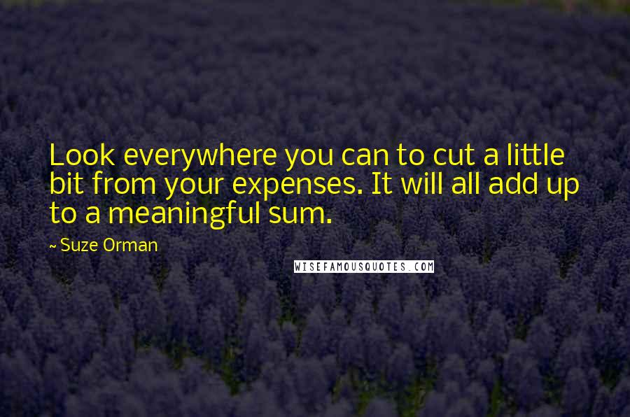 Suze Orman Quotes: Look everywhere you can to cut a little bit from your expenses. It will all add up to a meaningful sum.