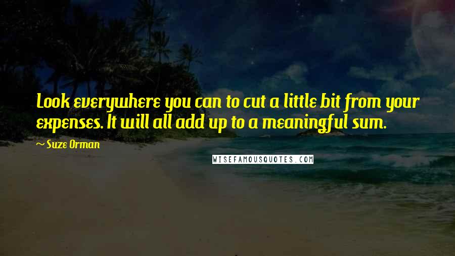 Suze Orman Quotes: Look everywhere you can to cut a little bit from your expenses. It will all add up to a meaningful sum.