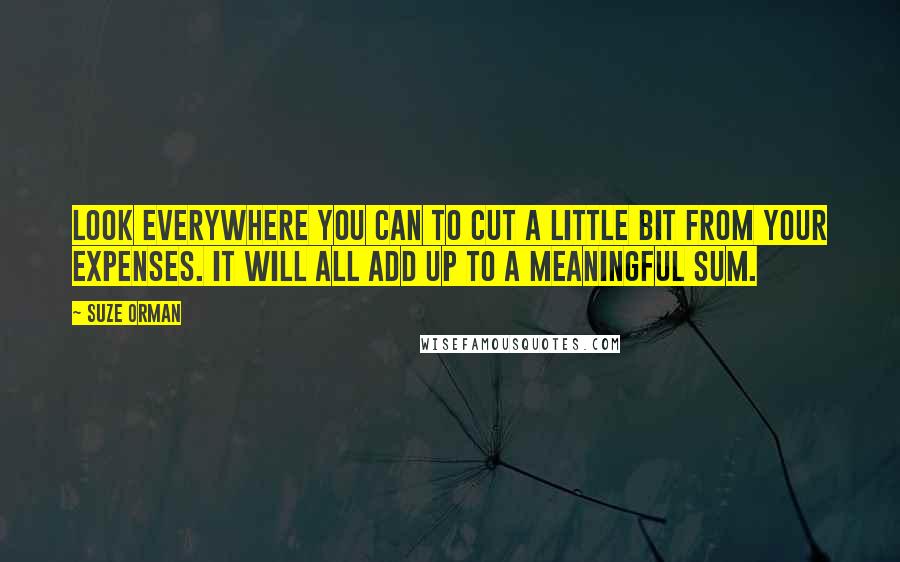 Suze Orman Quotes: Look everywhere you can to cut a little bit from your expenses. It will all add up to a meaningful sum.