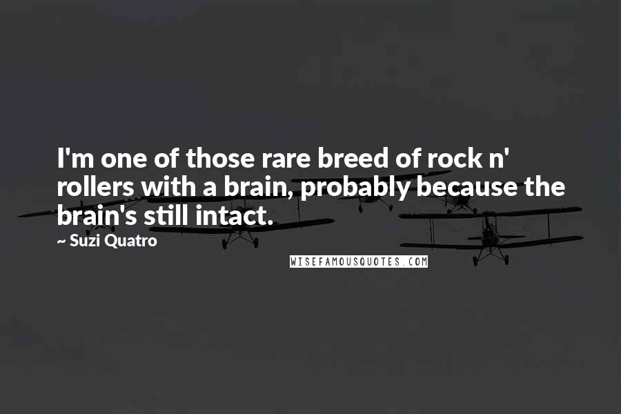 Suzi Quatro Quotes: I'm one of those rare breed of rock n' rollers with a brain, probably because the brain's still intact.