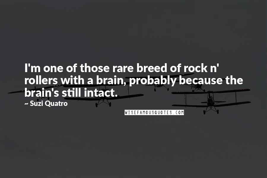 Suzi Quatro Quotes: I'm one of those rare breed of rock n' rollers with a brain, probably because the brain's still intact.