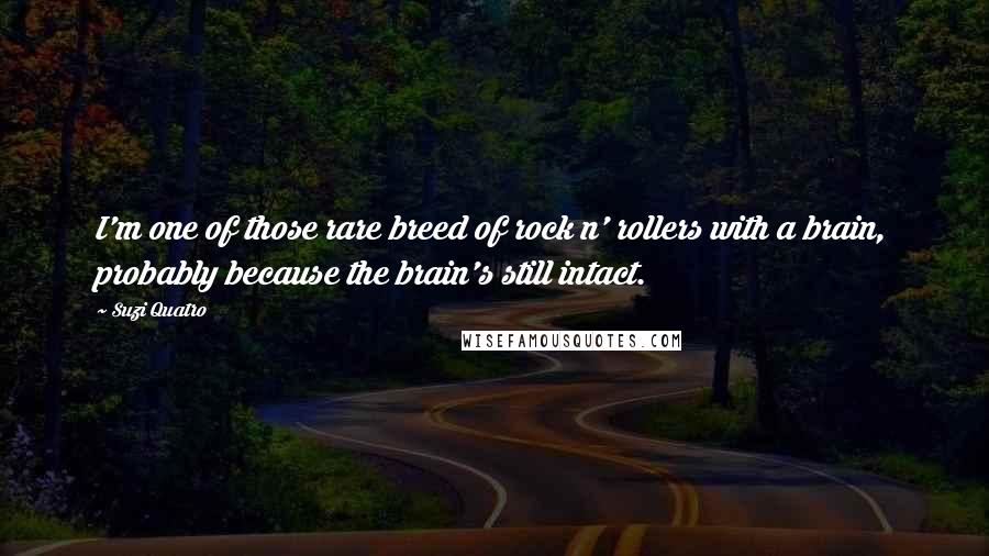 Suzi Quatro Quotes: I'm one of those rare breed of rock n' rollers with a brain, probably because the brain's still intact.