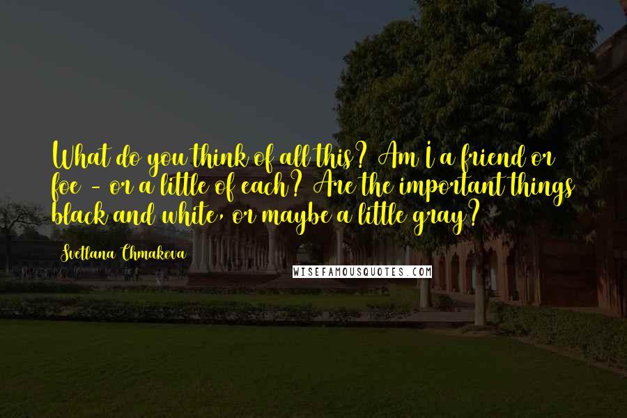 Svetlana Chmakova Quotes: What do you think of all this? Am I a friend or foe - or a little of each? Are the important things black and white, or maybe a little gray?