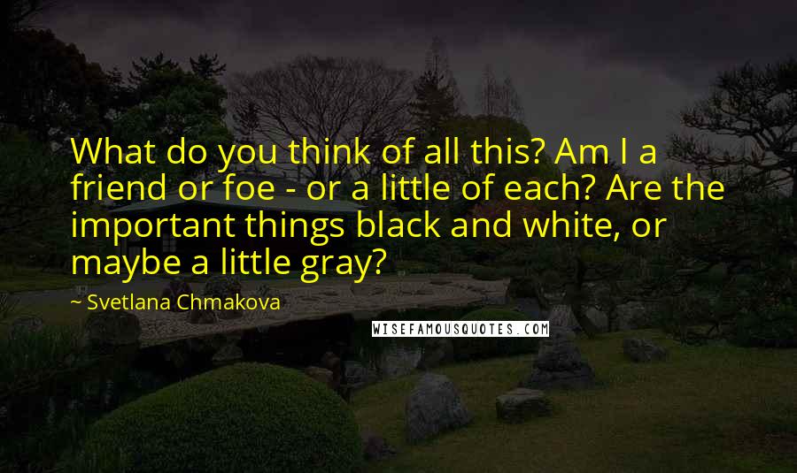 Svetlana Chmakova Quotes: What do you think of all this? Am I a friend or foe - or a little of each? Are the important things black and white, or maybe a little gray?
