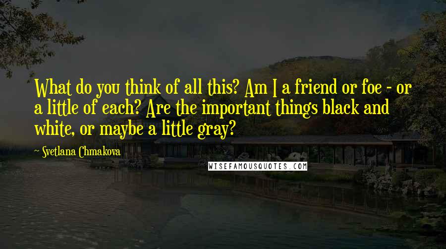 Svetlana Chmakova Quotes: What do you think of all this? Am I a friend or foe - or a little of each? Are the important things black and white, or maybe a little gray?