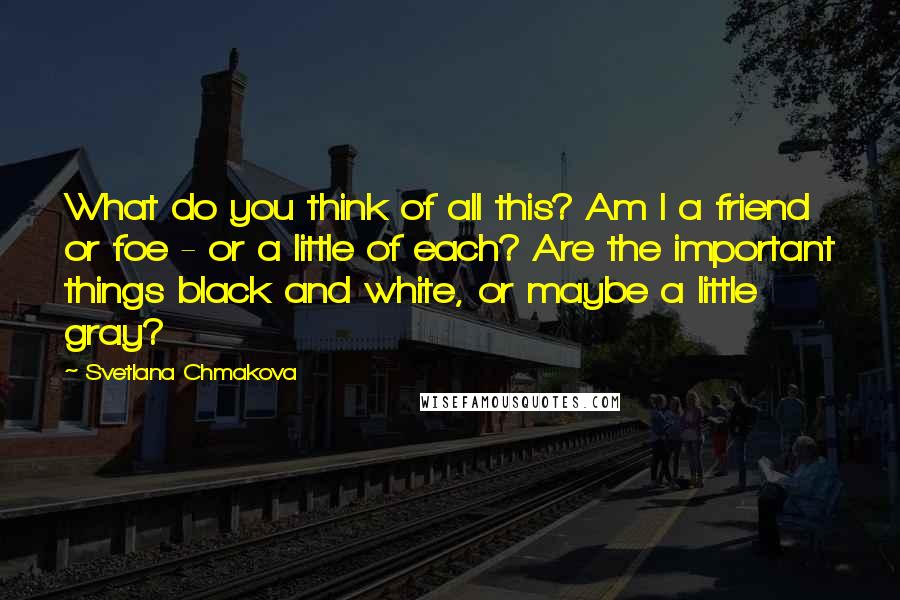 Svetlana Chmakova Quotes: What do you think of all this? Am I a friend or foe - or a little of each? Are the important things black and white, or maybe a little gray?