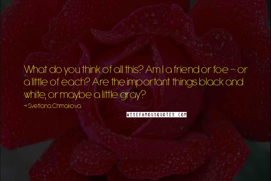 Svetlana Chmakova Quotes: What do you think of all this? Am I a friend or foe - or a little of each? Are the important things black and white, or maybe a little gray?