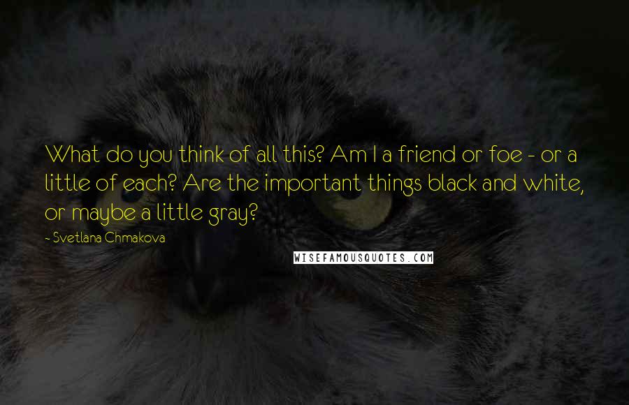 Svetlana Chmakova Quotes: What do you think of all this? Am I a friend or foe - or a little of each? Are the important things black and white, or maybe a little gray?