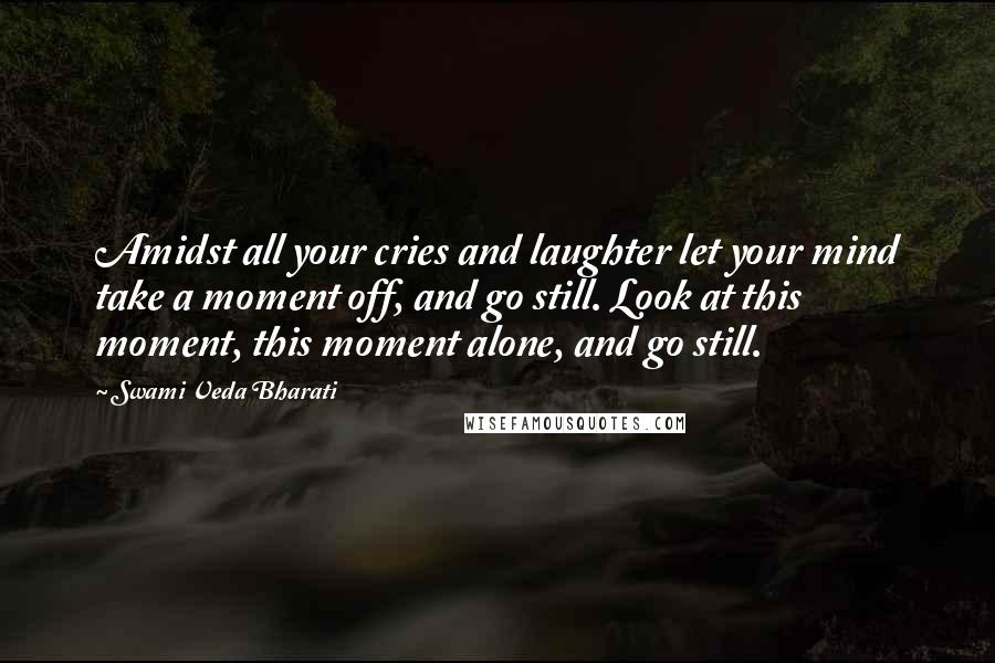 Swami Veda Bharati Quotes: Amidst all your cries and laughter let your mind take a moment off, and go still. Look at this moment, this moment alone, and go still.