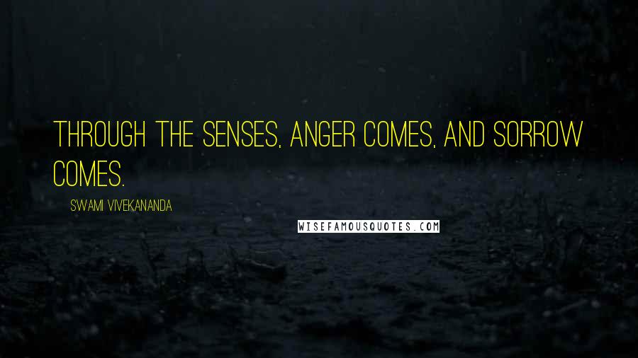 Swami Vivekananda Quotes: Through the senses, anger comes, and sorrow comes.