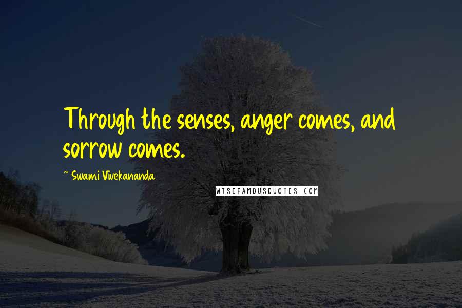 Swami Vivekananda Quotes: Through the senses, anger comes, and sorrow comes.