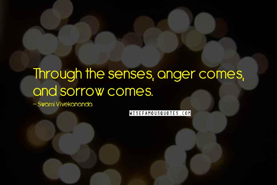 Swami Vivekananda Quotes: Through the senses, anger comes, and sorrow comes.
