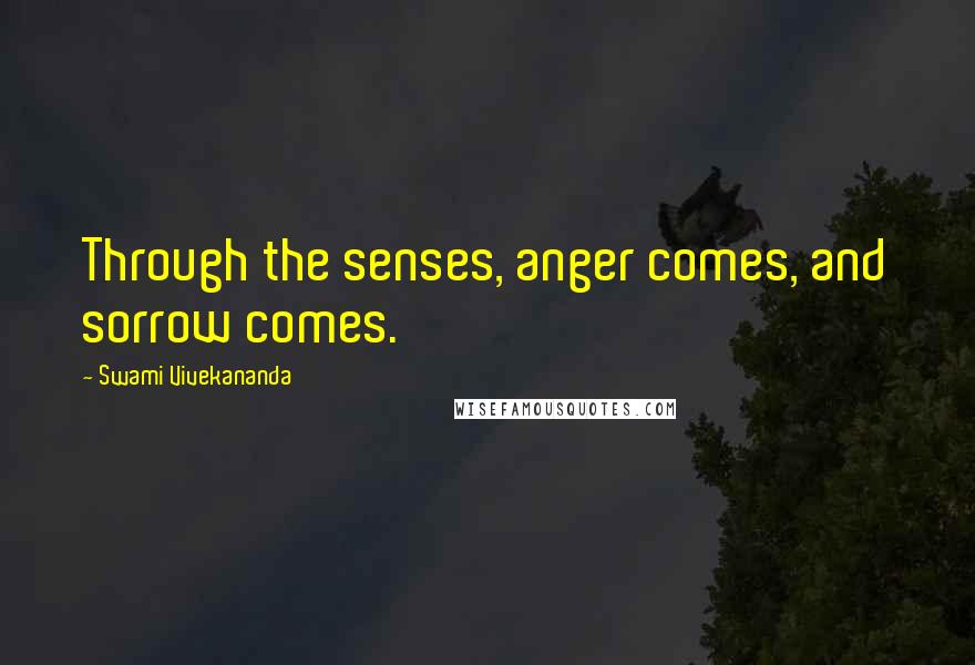 Swami Vivekananda Quotes: Through the senses, anger comes, and sorrow comes.