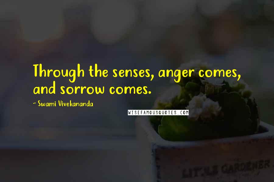 Swami Vivekananda Quotes: Through the senses, anger comes, and sorrow comes.