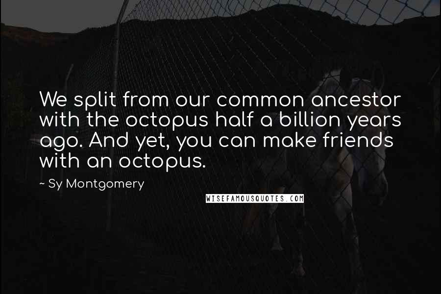 Sy Montgomery Quotes: We split from our common ancestor with the octopus half a billion years ago. And yet, you can make friends with an octopus.