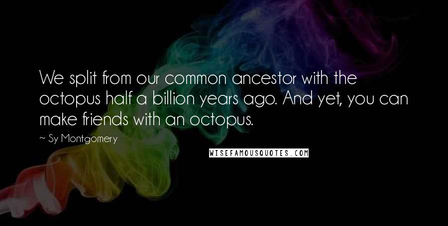 Sy Montgomery Quotes: We split from our common ancestor with the octopus half a billion years ago. And yet, you can make friends with an octopus.