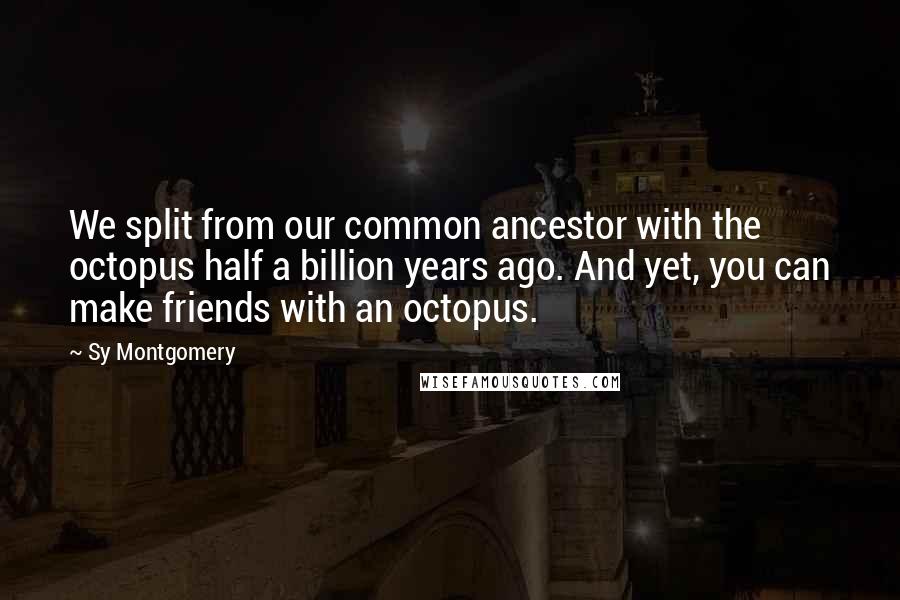 Sy Montgomery Quotes: We split from our common ancestor with the octopus half a billion years ago. And yet, you can make friends with an octopus.