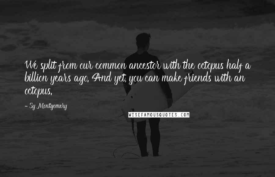 Sy Montgomery Quotes: We split from our common ancestor with the octopus half a billion years ago. And yet, you can make friends with an octopus.