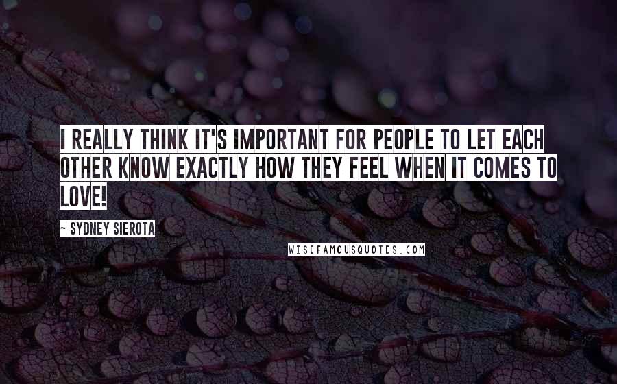 Sydney Sierota Quotes: I really think it's important for people to let each other know exactly how they feel when it comes to love!