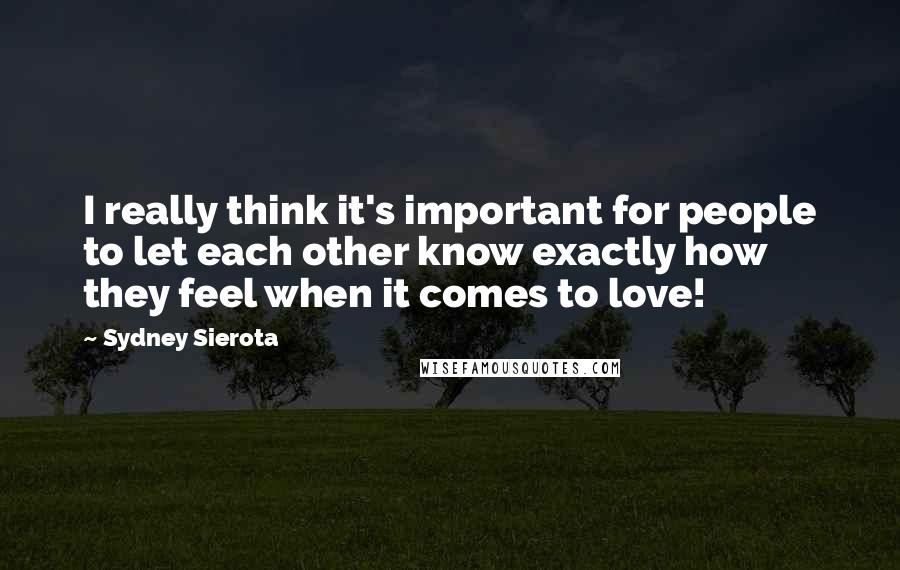 Sydney Sierota Quotes: I really think it's important for people to let each other know exactly how they feel when it comes to love!