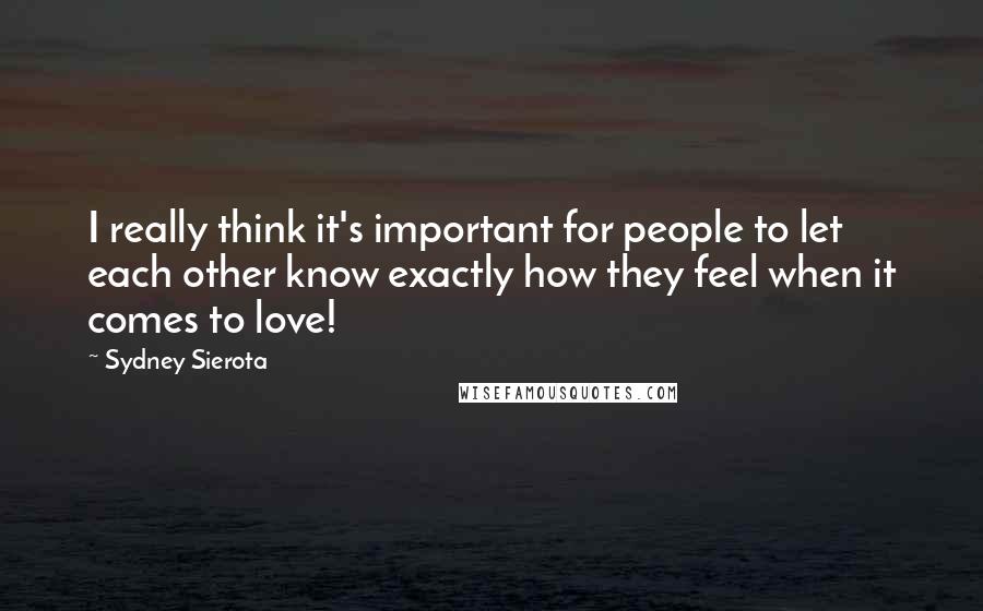 Sydney Sierota Quotes: I really think it's important for people to let each other know exactly how they feel when it comes to love!