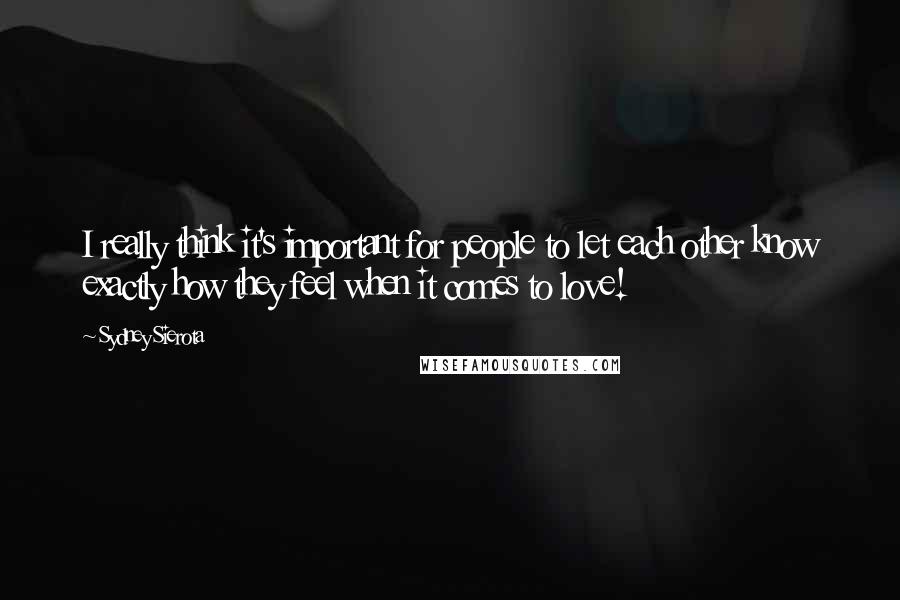 Sydney Sierota Quotes: I really think it's important for people to let each other know exactly how they feel when it comes to love!