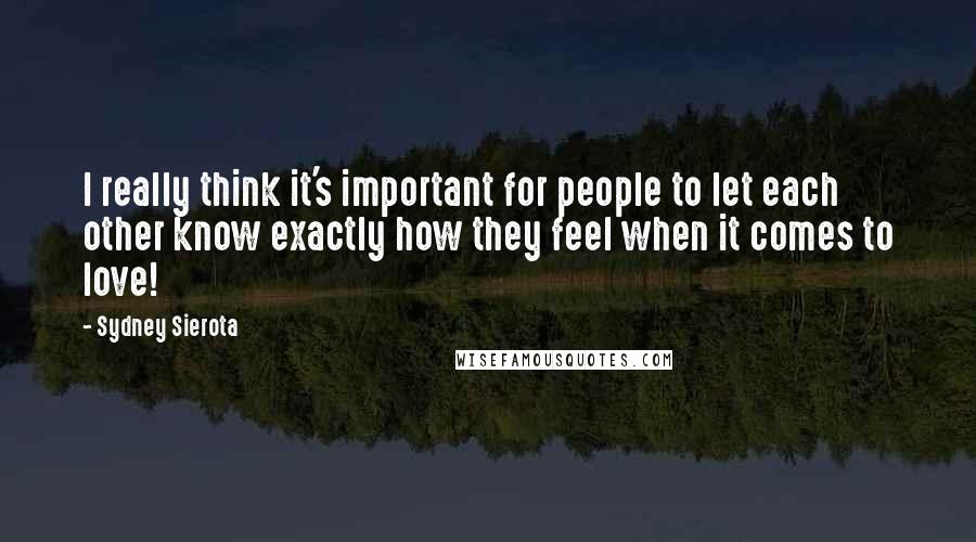 Sydney Sierota Quotes: I really think it's important for people to let each other know exactly how they feel when it comes to love!